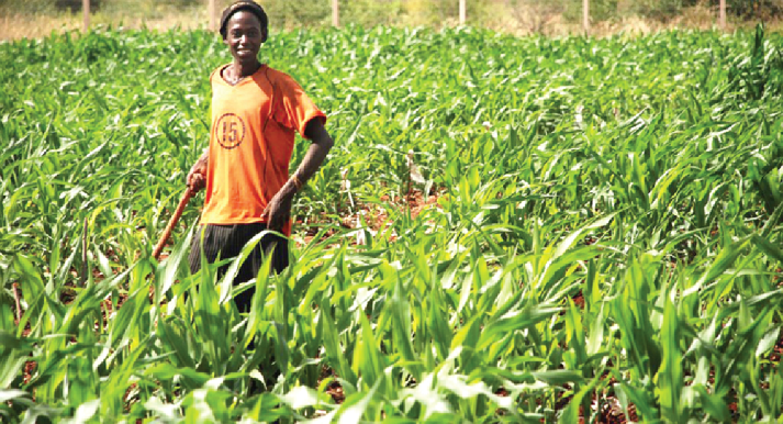 digital agriculture is transforming afria