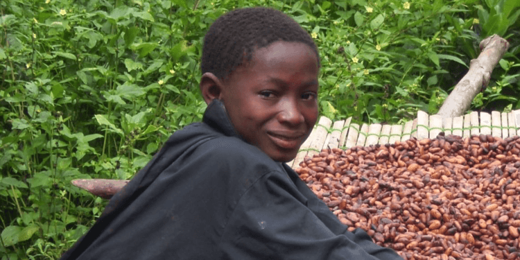 opportunity for young people in cocoa