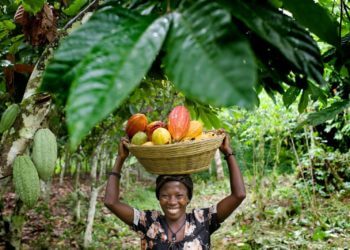 Ghana women empowerment and child llabour ghanatalksbusiness.com