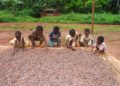 When cocoa child labour is not child labour, ghanatlalksbusiness.com