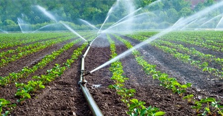 Irrigation farming, ghanatalksbusiness.com